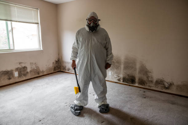 Certified Mold Removal in Riverview, FL